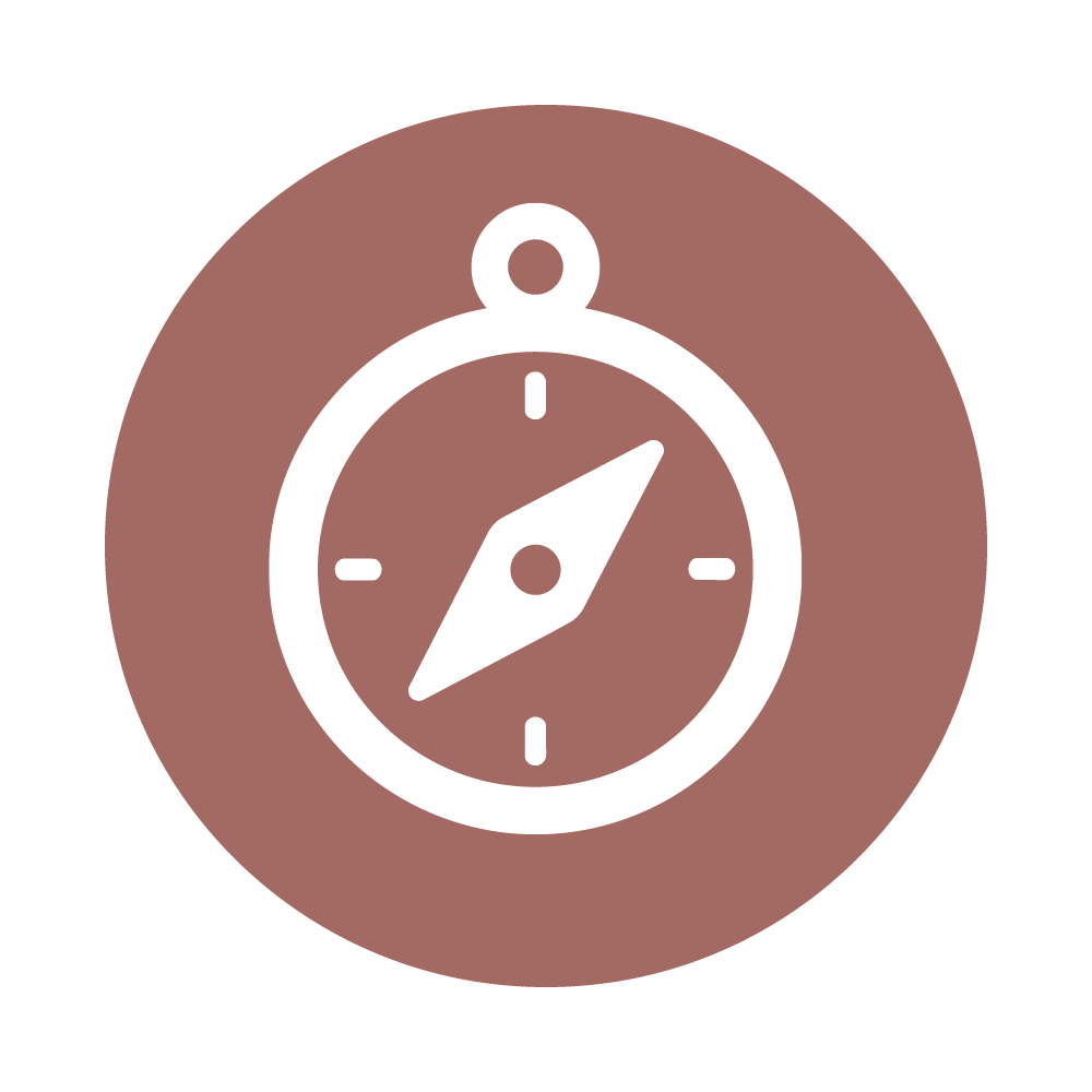 Compass icon